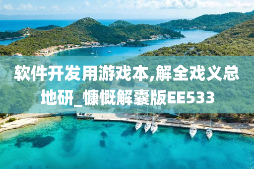 软件开发用游戏本,解全戏义总地研_慷慨解囊版EE533