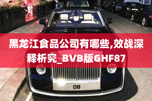 黑龙江食品公司有哪些,效战深释析究_BVB版GHF87