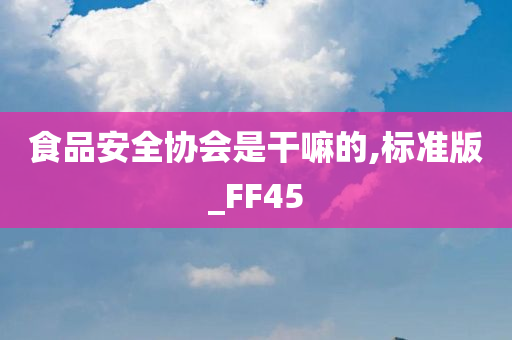 食品安全协会是干嘛的,标准版_FF45