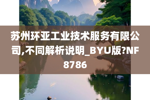 苏州环亚工业技术服务有限公司,不同解析说明_BYU版?NF8786