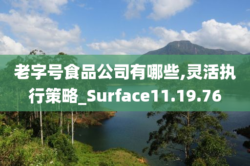 老字号食品公司有哪些,灵活执行策略_Surface11.19.76