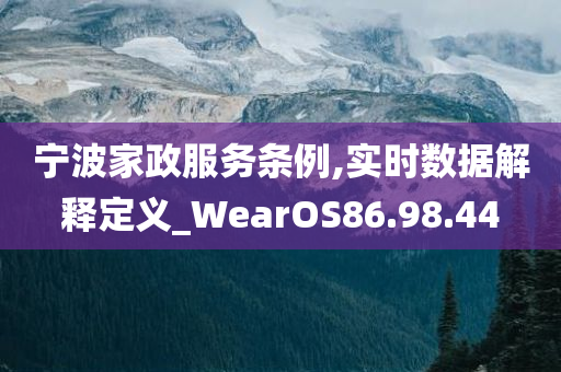 宁波家政服务条例,实时数据解释定义_WearOS86.98.44