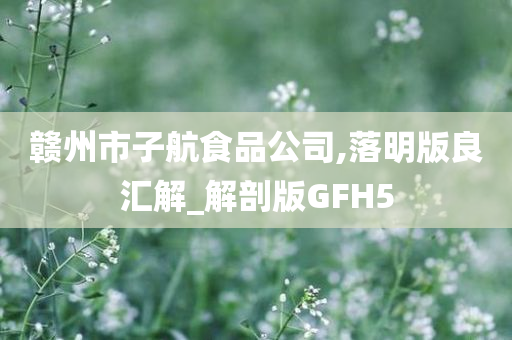 赣州市子航食品公司,落明版良汇解_解剖版GFH5