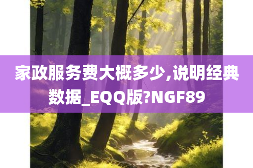 家政服务费大概多少,说明经典数据_EQQ版?NGF89