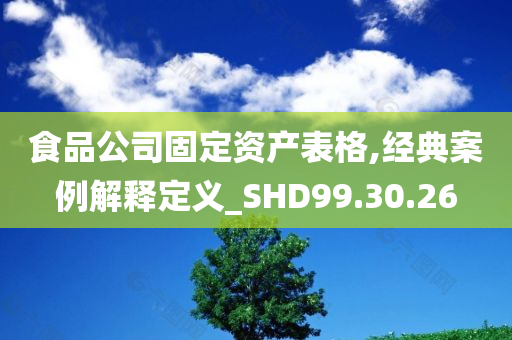 食品公司固定资产表格,经典案例解释定义_SHD99.30.26