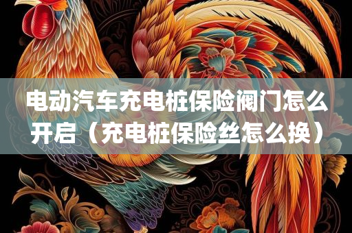 电动汽车充电桩保险阀门怎么开启（充电桩保险丝怎么换）