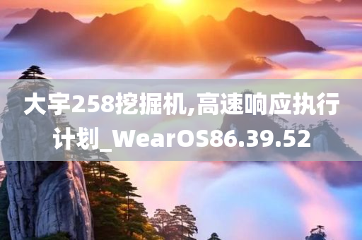 大宇258挖掘机,高速响应执行计划_WearOS86.39.52