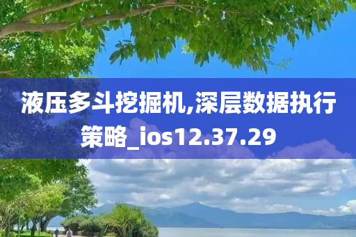 液压多斗挖掘机,深层数据执行策略_ios12.37.29