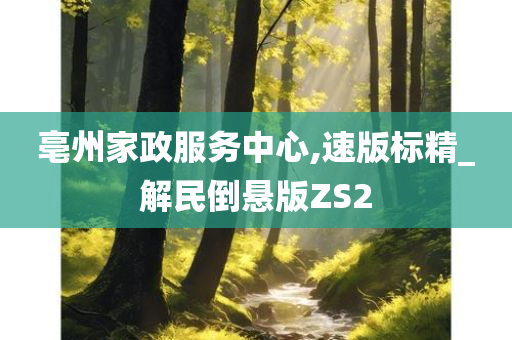 亳州家政服务中心,速版标精_解民倒悬版ZS2