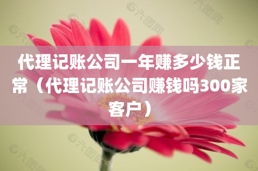 代理记账公司一年赚多少钱正常（代理记账公司赚钱吗300家客户）