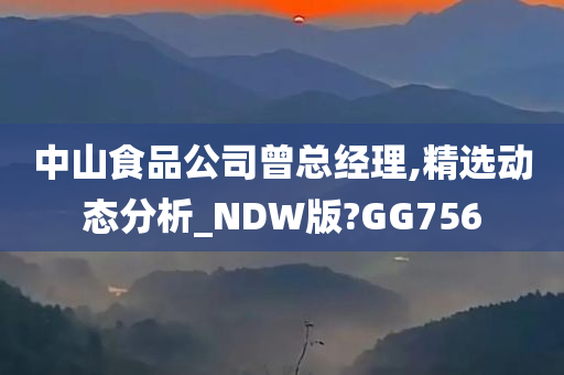 中山食品公司曾总经理,精选动态分析_NDW版?GG756