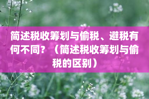 简述税收筹划与偷税、避税有何不同？（简述税收筹划与偷税的区别）