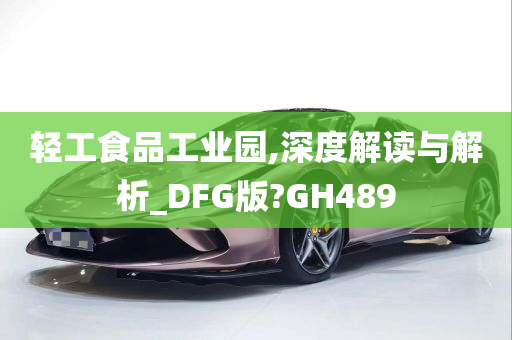 轻工食品工业园,深度解读与解析_DFG版?GH489