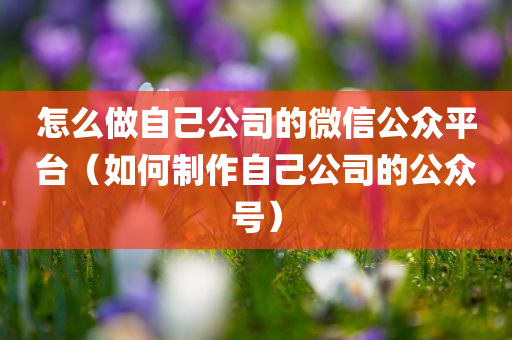 怎么做自己公司的微信公众平台（如何制作自己公司的公众号）