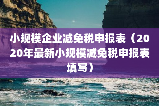 小规模企业减免税申报表（2020年最新小规模减免税申报表填写）