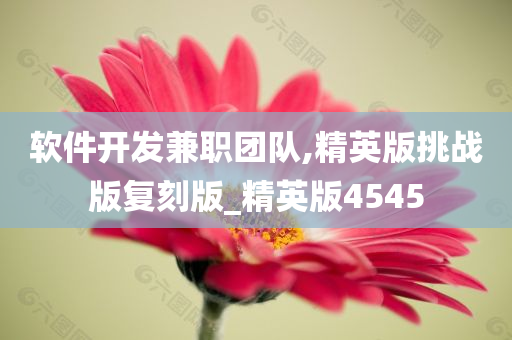 软件开发兼职团队,精英版挑战版复刻版_精英版4545