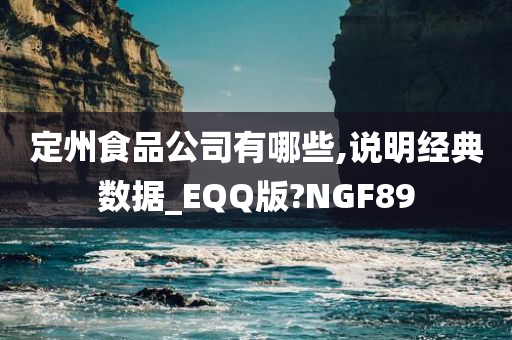 定州食品公司有哪些,说明经典数据_EQQ版?NGF89