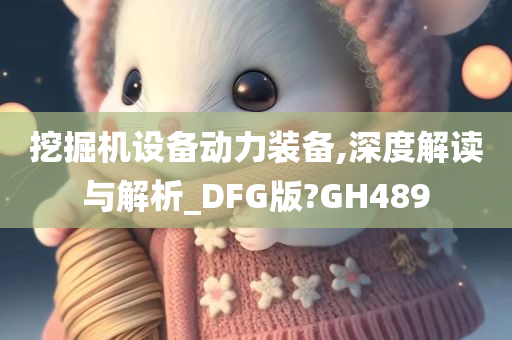 挖掘机设备动力装备,深度解读与解析_DFG版?GH489