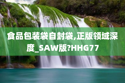 食品包装袋自封袋,正版领域深度_SAW版?HHG77