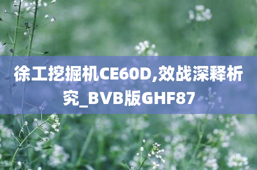 徐工挖掘机CE60D,效战深释析究_BVB版GHF87