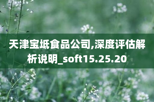 天津宝坻食品公司,深度评估解析说明_soft15.25.20