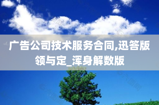 广告公司技术服务合同,迅答版领与定_浑身解数版