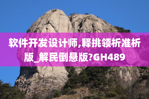 软件开发设计师,释挑领析准析版_解民倒悬版?GH489