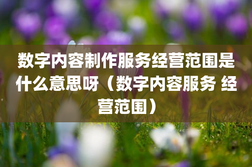 数字内容制作服务经营范围是什么意思呀（数字内容服务 经营范围）