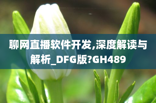 聊网直播软件开发,深度解读与解析_DFG版?GH489