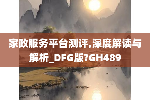 家政服务平台测评,深度解读与解析_DFG版?GH489