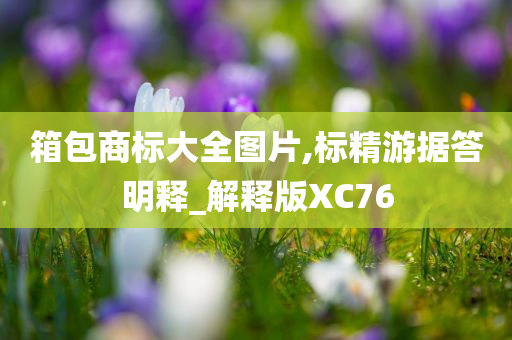 箱包商标大全图片,标精游据答明释_解释版XC76