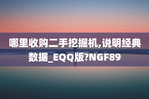 哪里收购二手挖掘机,说明经典数据_EQQ版?NGF89