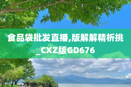 食品袋批发直播,版解解精析挑_CXZ版GD676