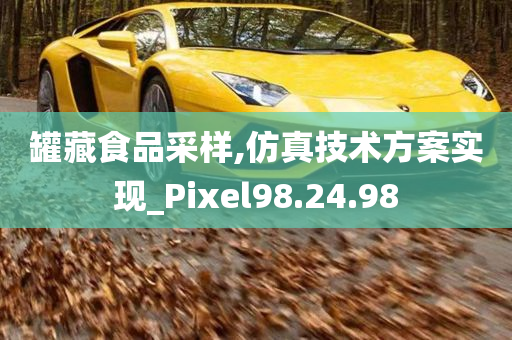 罐藏食品采样,仿真技术方案实现_Pixel98.24.98