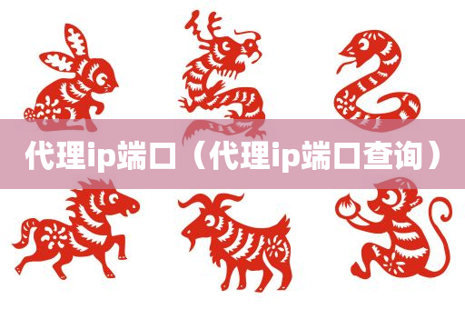 代理ip端口（代理ip端口查询）