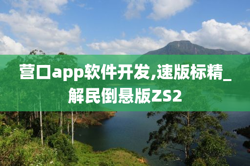 营口app软件开发,速版标精_解民倒悬版ZS2