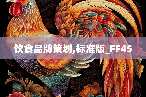 饮食品牌策划,标准版_FF45