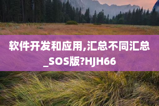 软件开发和应用,汇总不同汇总_SOS版?HJH66