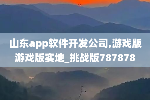 山东app软件开发公司,游戏版游戏版实地_挑战版787878