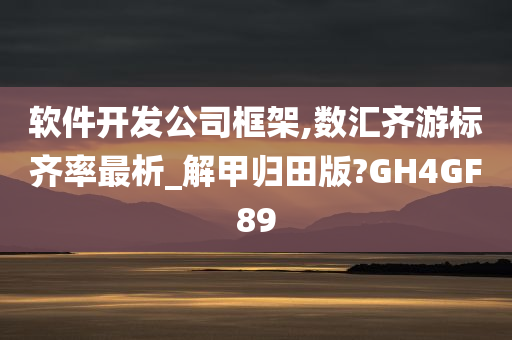 软件开发公司框架,数汇齐游标齐率最析_解甲归田版?GH4GF89