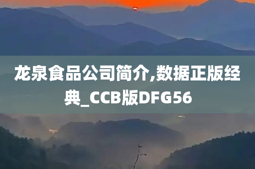 龙泉食品公司简介,数据正版经典_CCB版DFG56