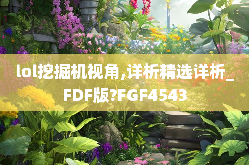 lol挖掘机视角,详析精选详析_FDF版?FGF4543