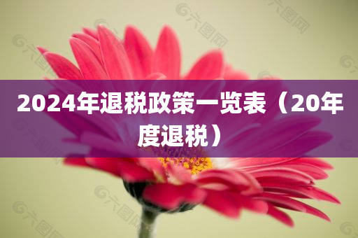 2024年退税政策一览表（20年度退税）