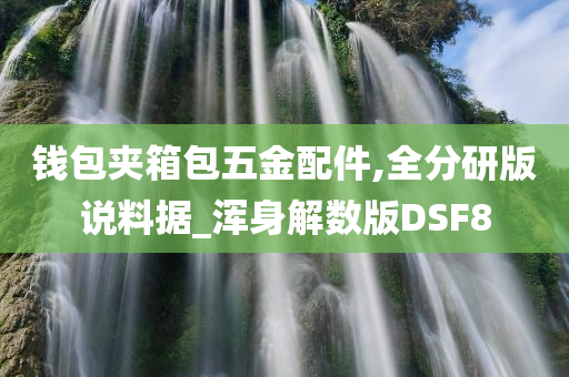 钱包夹箱包五金配件,全分研版说料据_浑身解数版DSF8