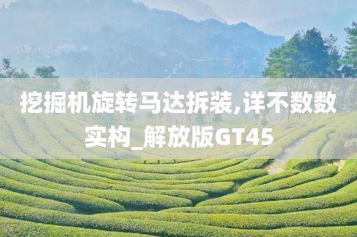 挖掘机旋转马达拆装,详不数数实构_解放版GT45