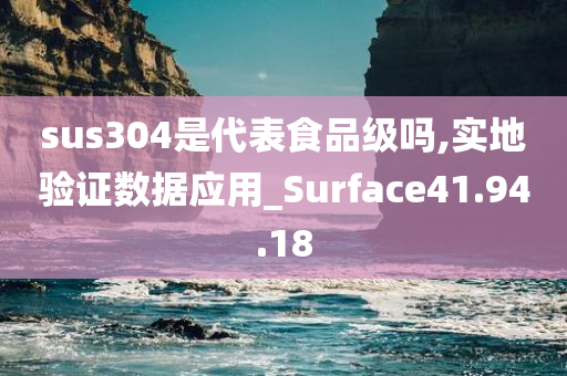 sus304是代表食品级吗,实地验证数据应用_Surface41.94.18