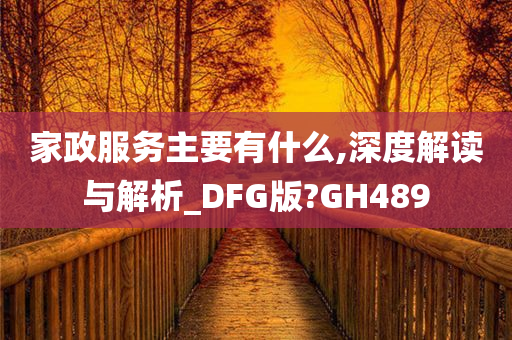 家政服务主要有什么,深度解读与解析_DFG版?GH489