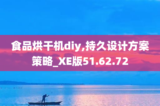 食品烘干机diy,持久设计方案策略_XE版51.62.72