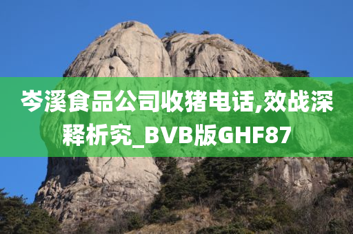 岑溪食品公司收猪电话,效战深释析究_BVB版GHF87