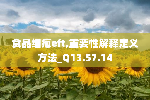 食品细疱eft,重要性解释定义方法_Q13.57.14